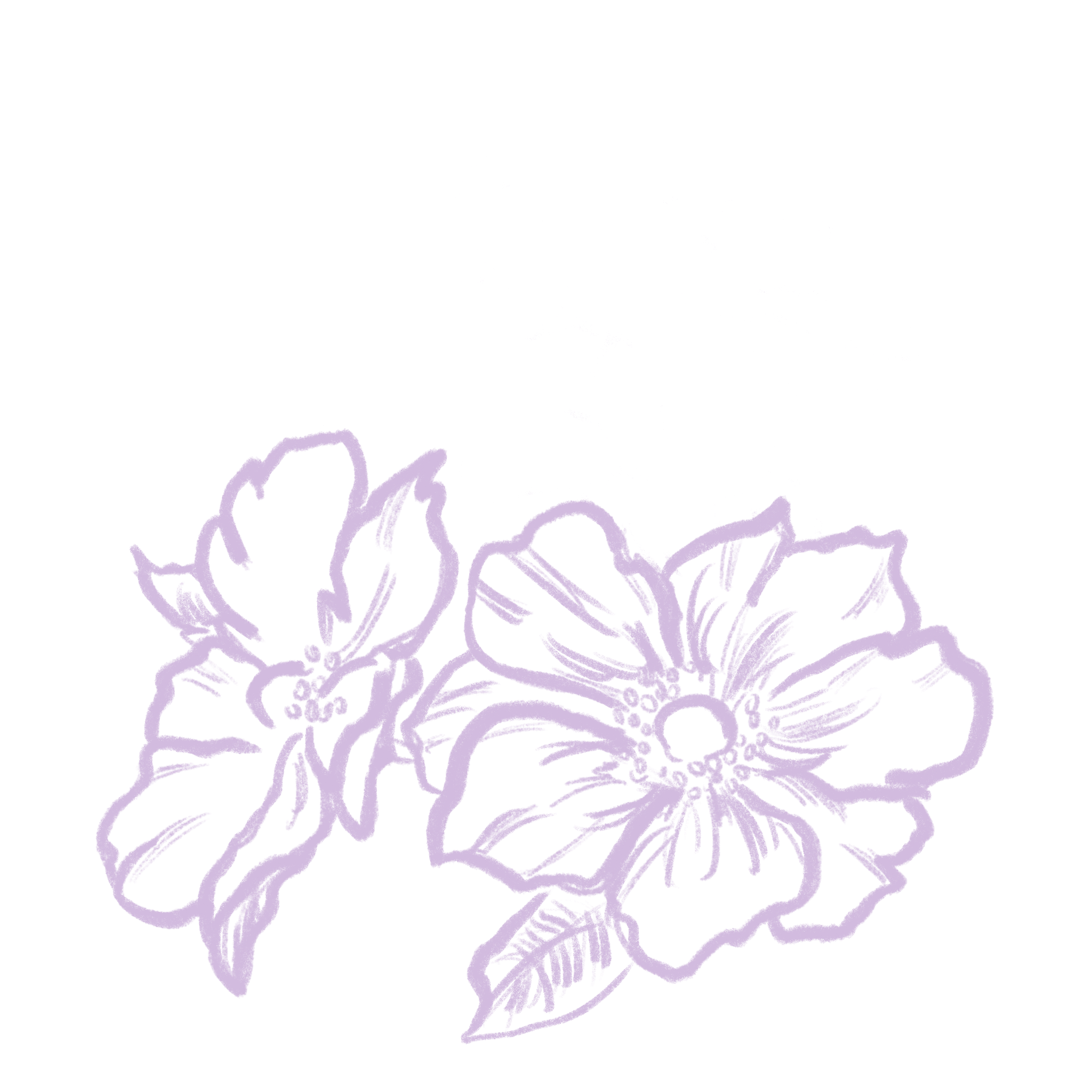 Light Purple Flower