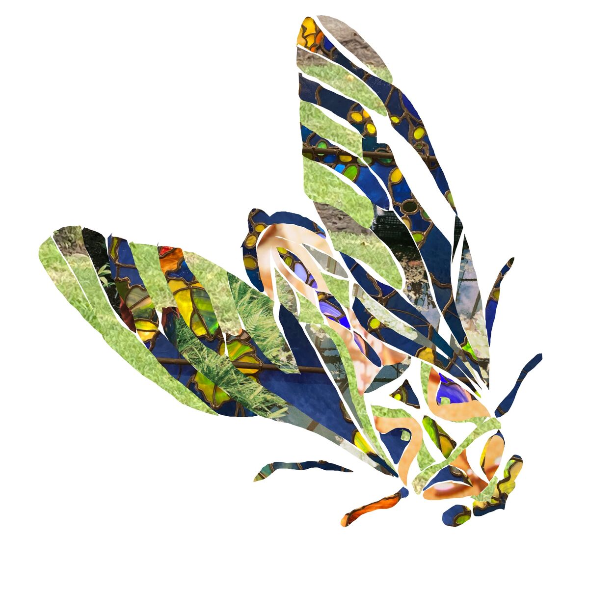 Reframing: A Photo Collage